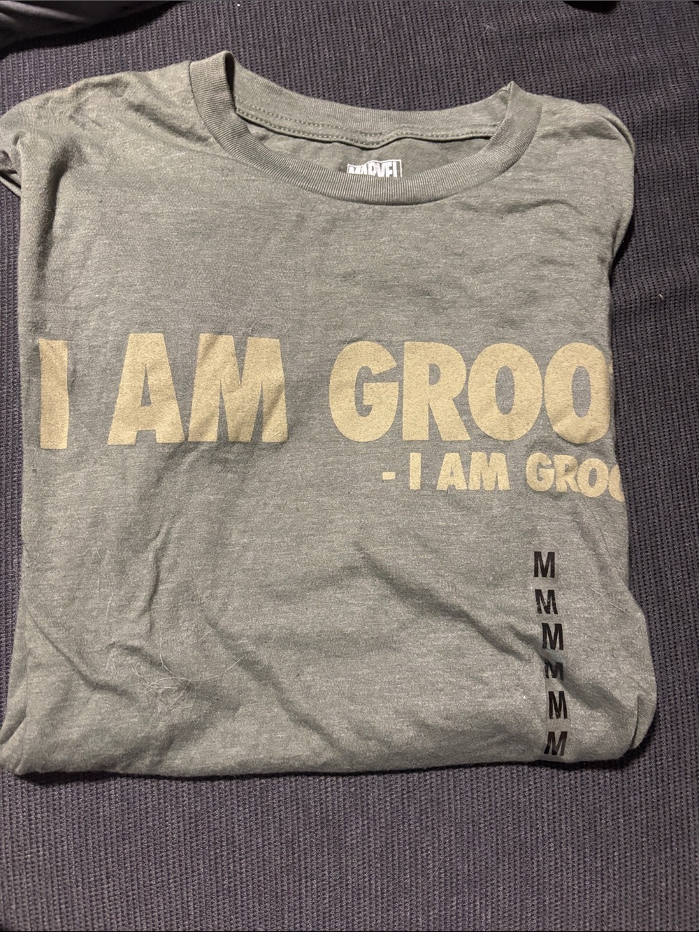 Adult 'I Am Groot' Green Graphic T-Shirt